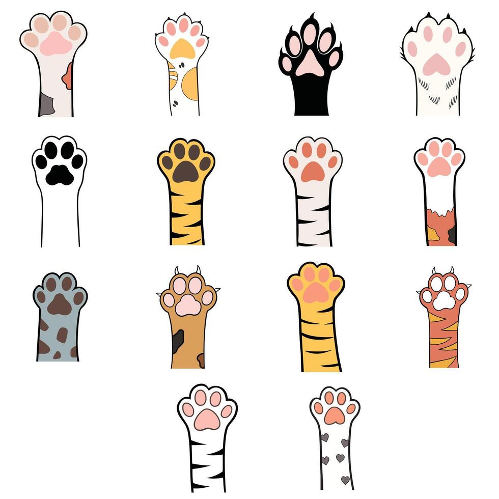 Playful Cat Paw and Footprint Clipart for Pet Lovers Bundle vector