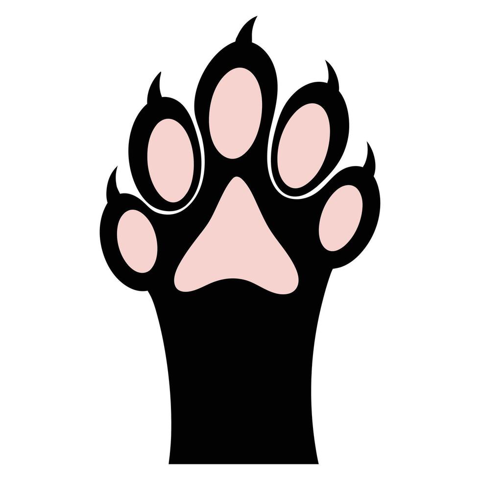 Unique Kitty Paw and Footprint Clipart for Custom Designs vector