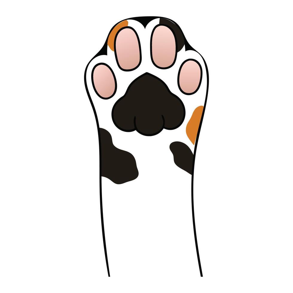 Charming Cat Paw and Kitty Footprint Clipart vector
