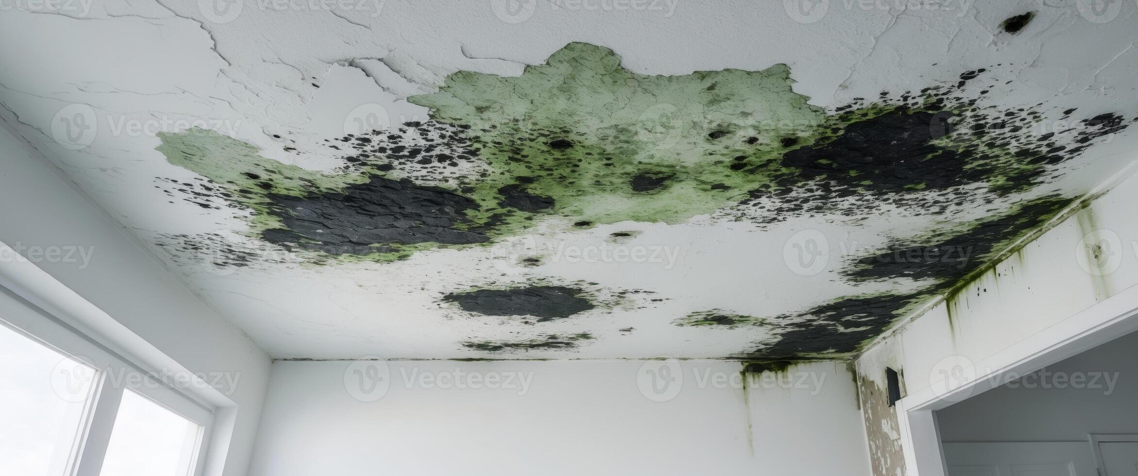 Mold Damage on Ceiling Caused by Water Leak in Residential Building. photo