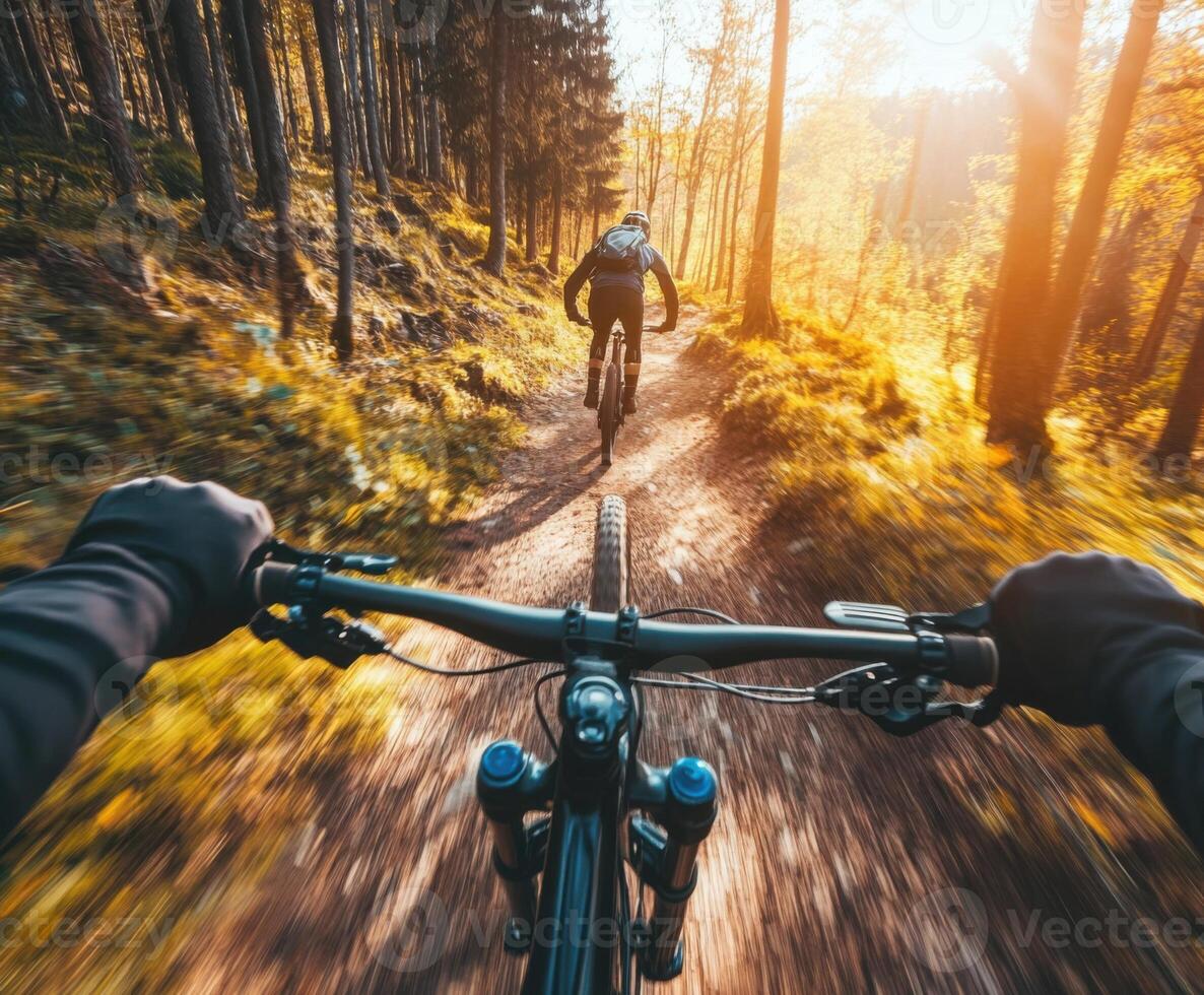 Mountain biking through a sunlit forest trail on a crisp autumn afternoon photo