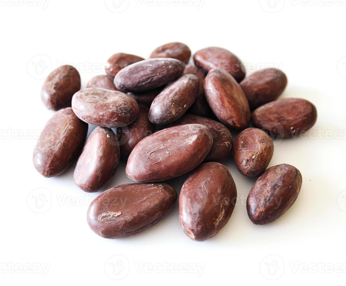 Cocoa beans scattered on a white surface showcasing their rich brown color and unique oval shapes photo