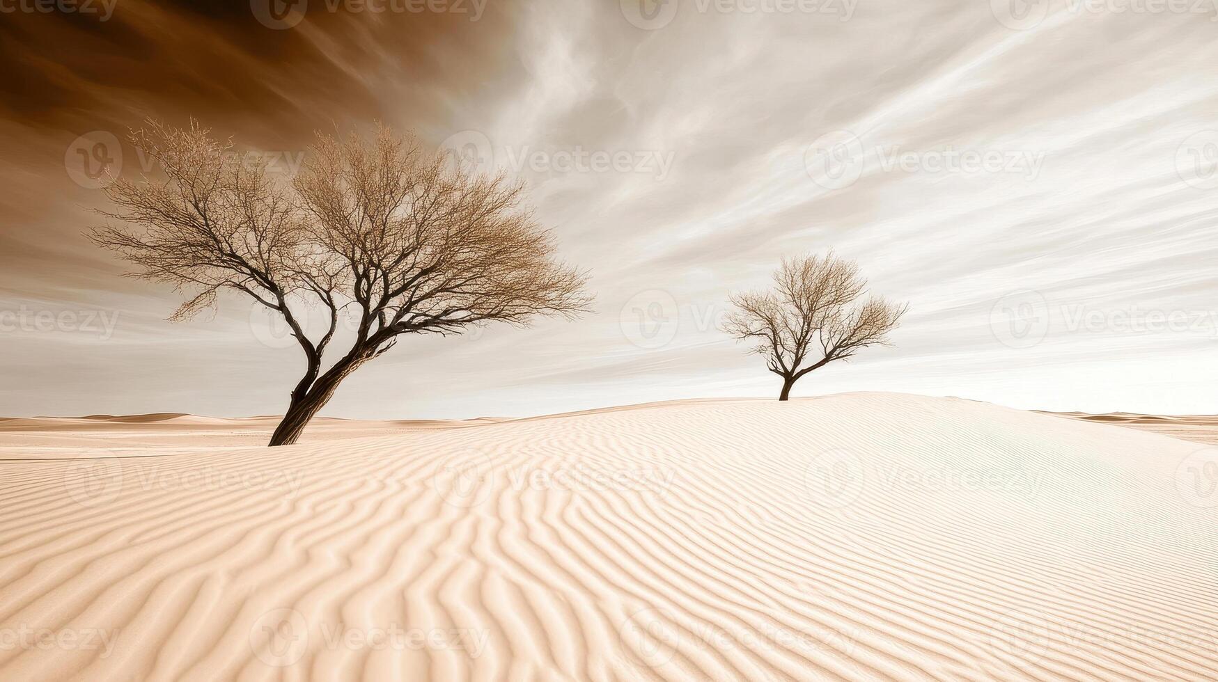 Desert landscape with sand dunes and bare trees under cloudy sky, evoking sense of solitude and tranquility photo