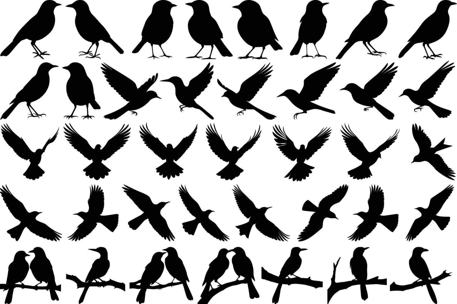 Different Black Bird Poses Silhouettes vector