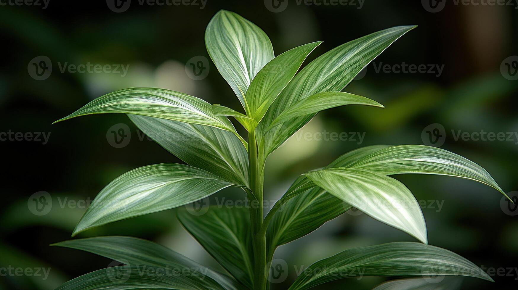 Fresh green leaves stretch toward the light, creating a serene atmosphere in the garden photo