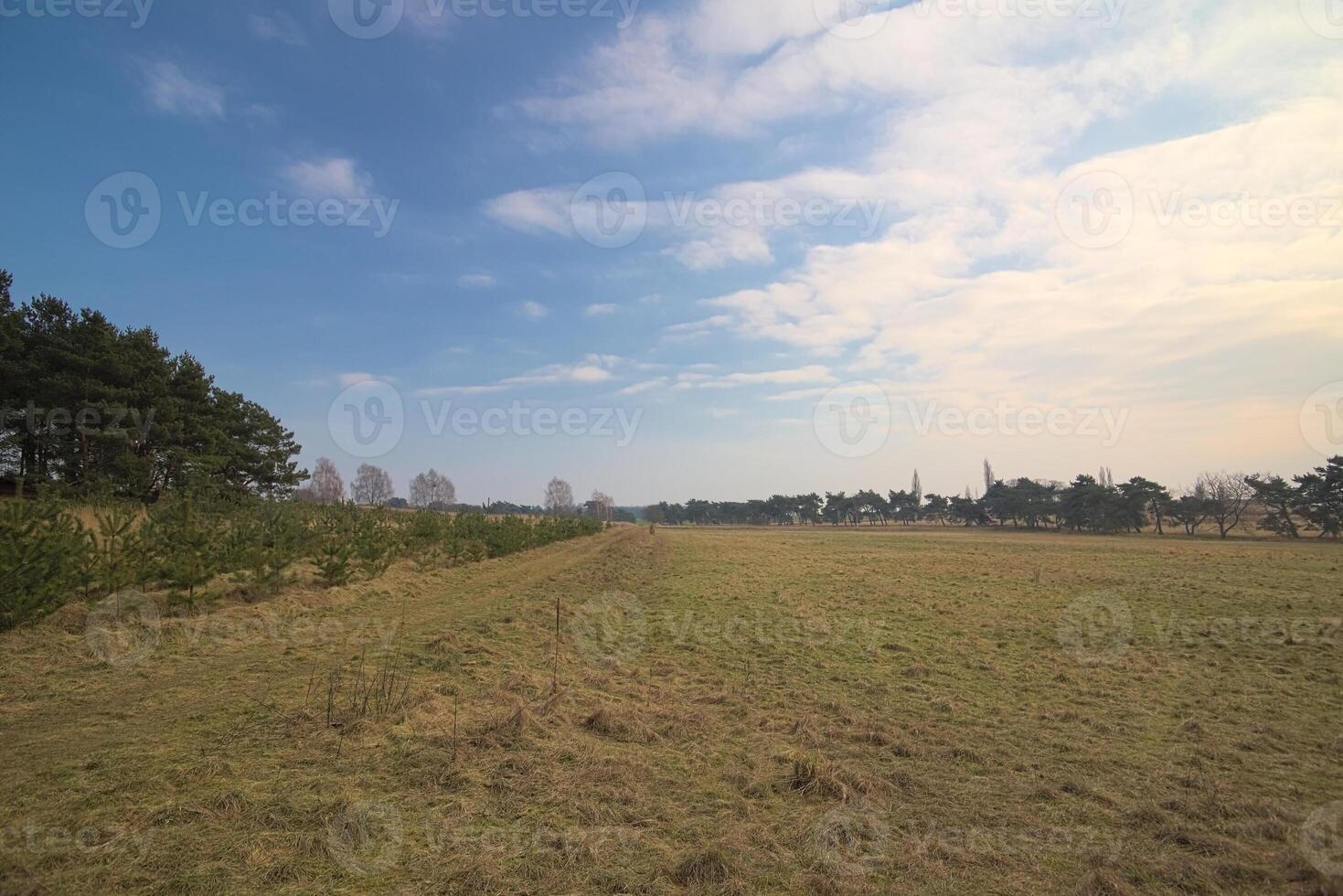 HDR image of meadow near Lostau, Saxony-Anhalt, Germany photo