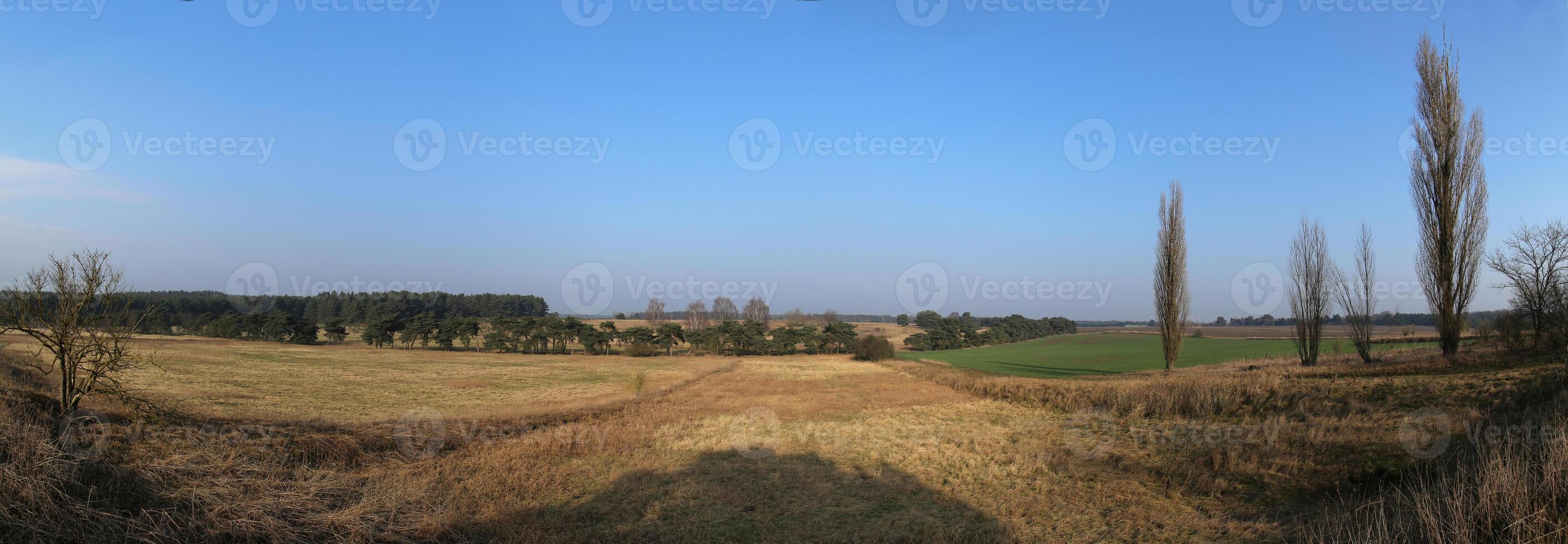 Panoramic view of meadows, fields and forests near Lostau, Saxony-Anhalt, Germany. photo