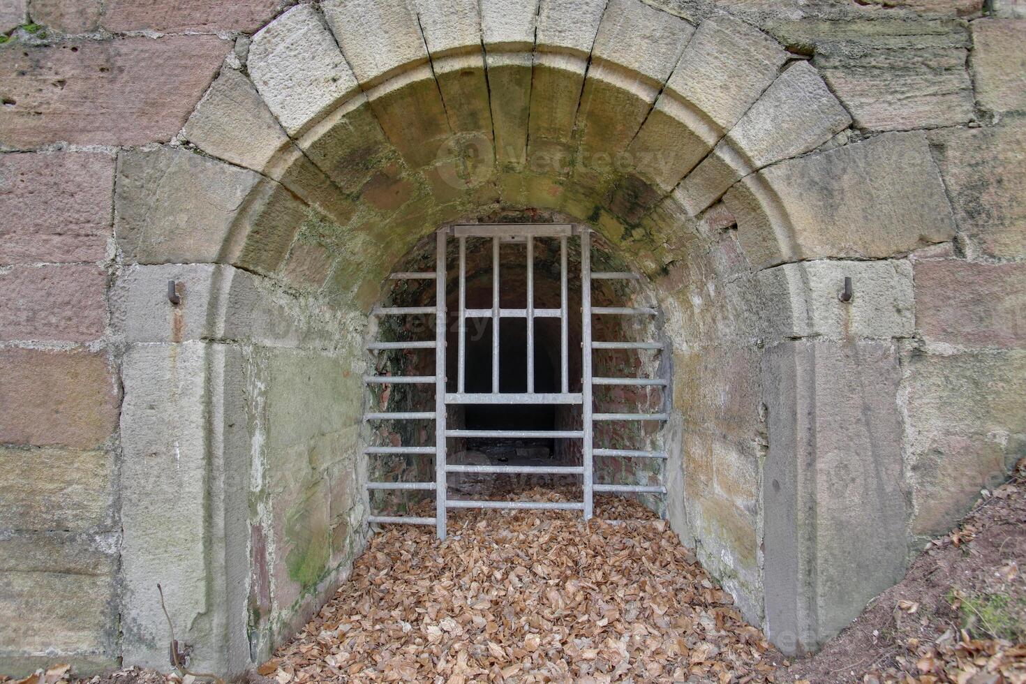 HDR of the closed entrance of a dungeon. photo