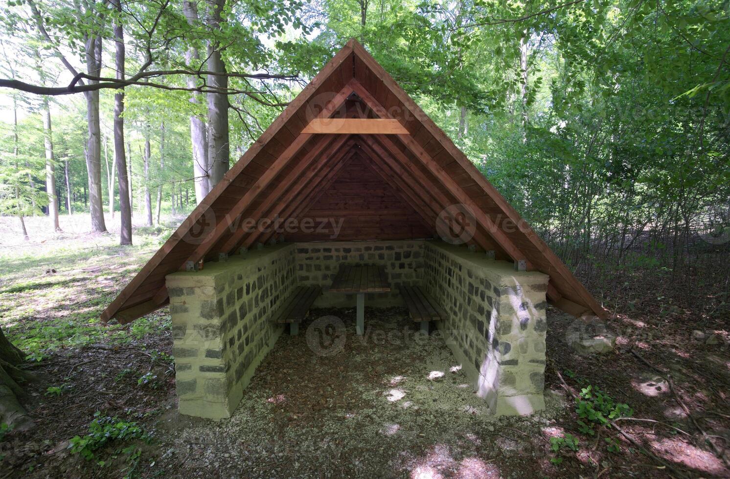 Hikers refuge in a beech forest, seen from the front. photo