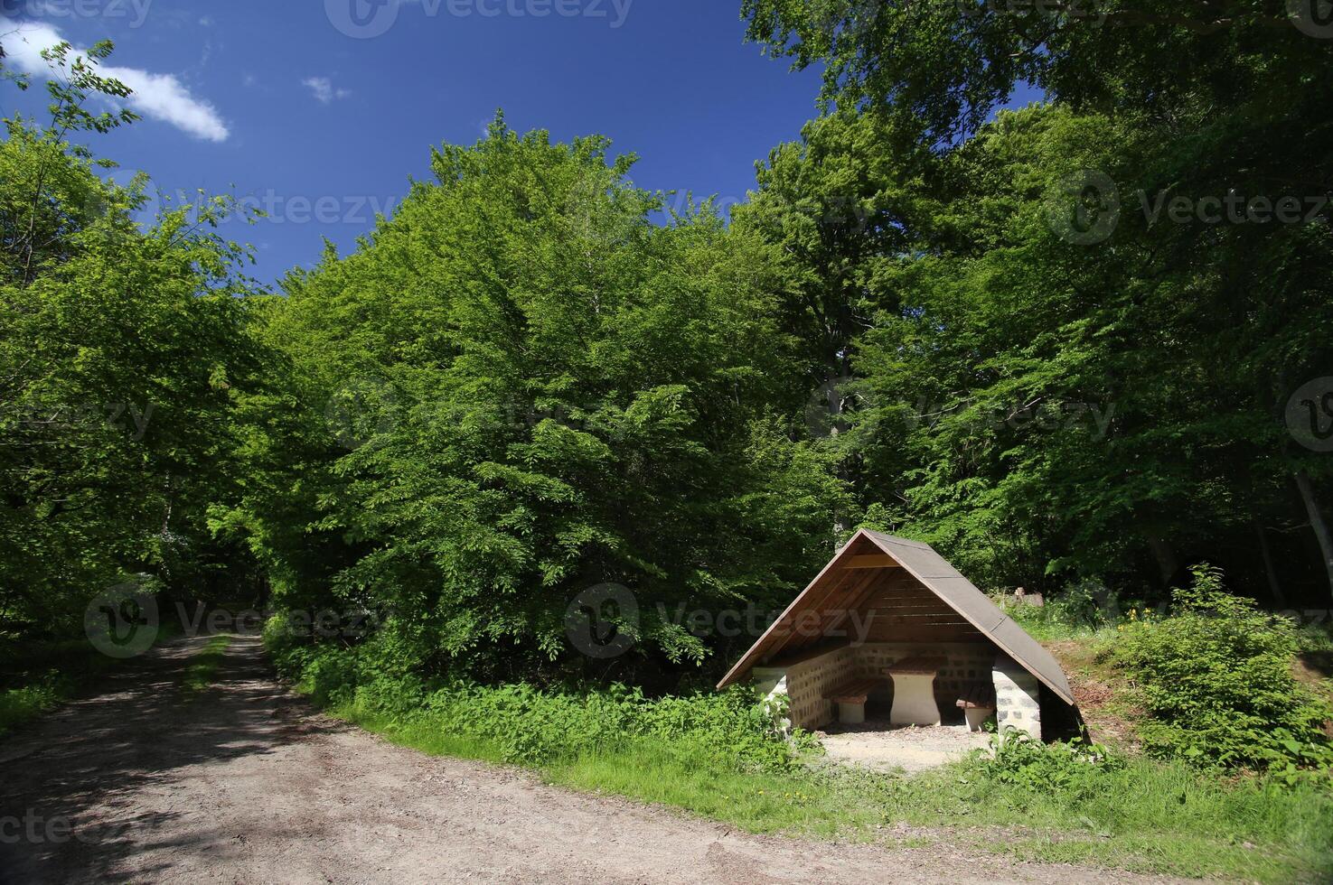 Hikers refuge in a beech forest besides a small road. photo