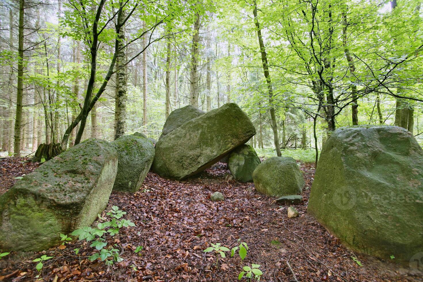 An ancient megalithic tomb in the forest near Poggendorf - Tomb number 4 - in Mecklenburg-Vorpommern, Germany. The image was created using an HDR imaging technique. photo