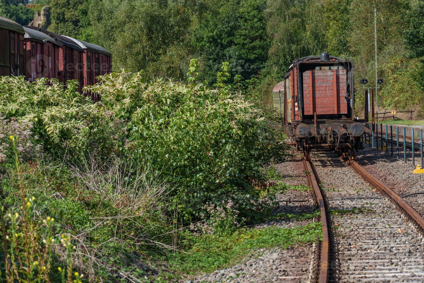 A train traveling down the tracks near a bridge photo