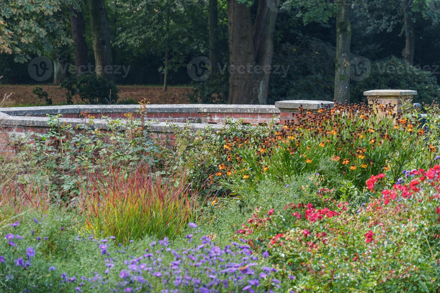 A bench in a garden near leer photo