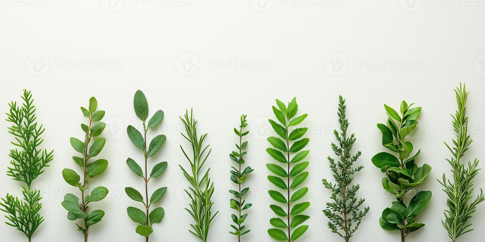 Promoting earth hour with sustainable living tips and greenery copy space photo