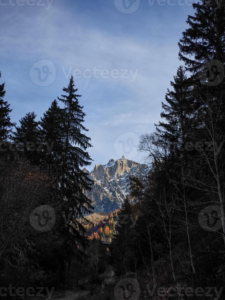 Majestic mountains emerging from lush forest in chamonix, france photo