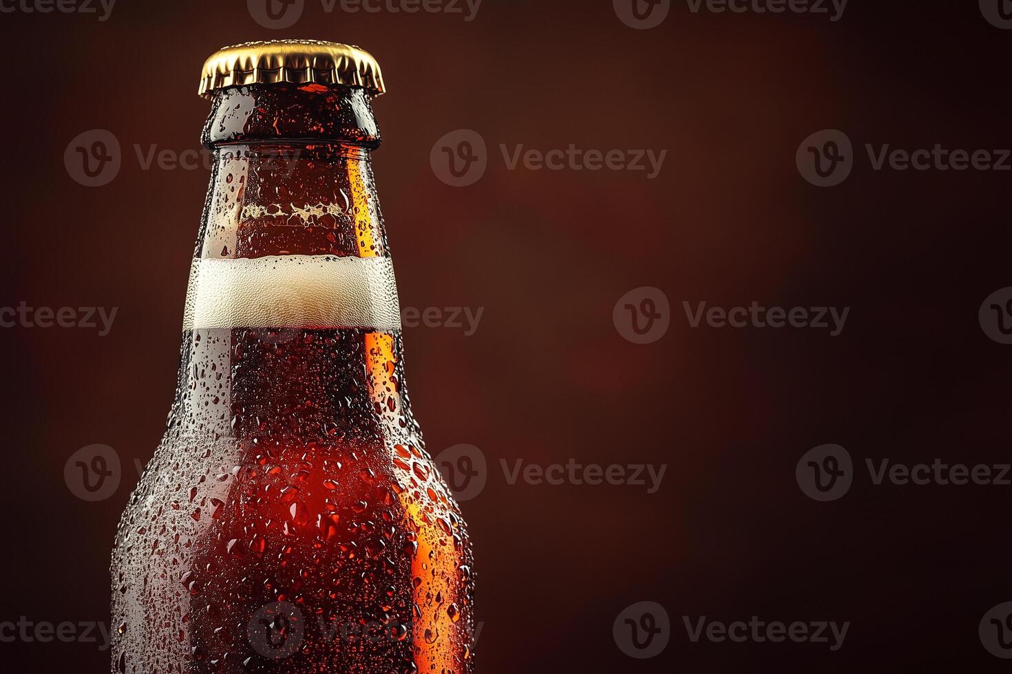 Close up of refreshing beer bottle covered with condensation on dark background. Copy space photo