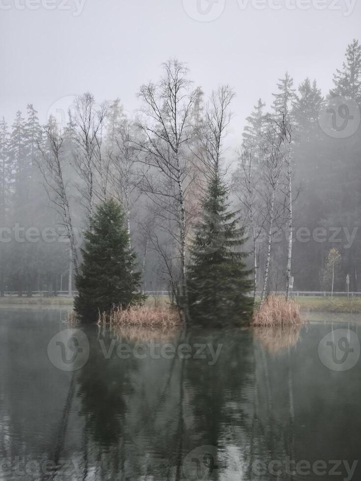 Fog enveloping small island with evergreen trees in chamonix Lake Gaillands photo