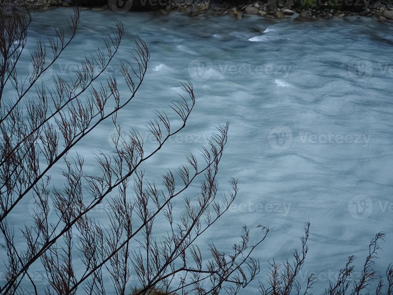 Bare branches overlooking flowing river arve in chamonix, france photo