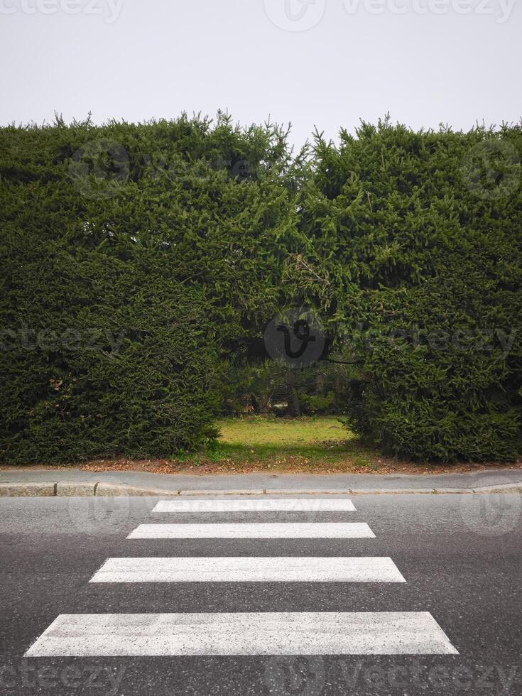 Pedestrian crossing leading to a gap in a hedge in chamonix, france photo
