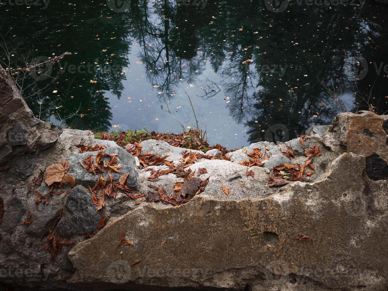 Fallen autumn leaves adorning a stone border by a serene pond in chamonix, france photo