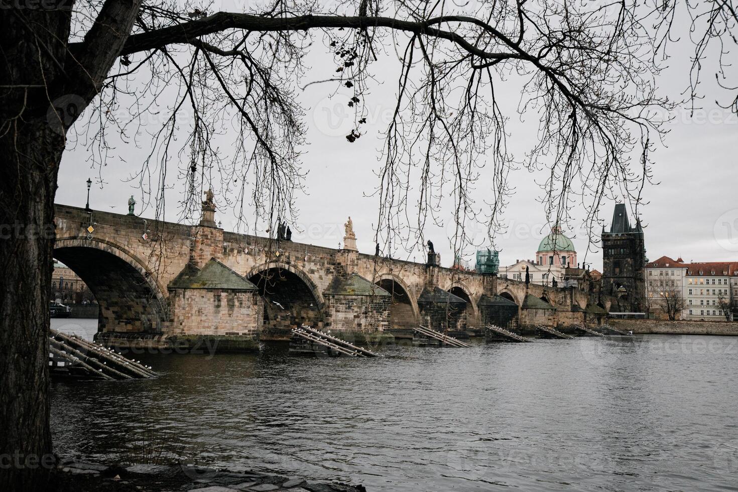 Charles bridge in prague, czech republic, on a cloudy winter day, framed by bare tree branches photo