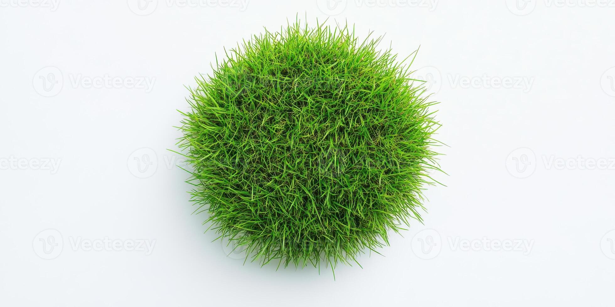 Circular green grass patch on white background emphasizing nature and growth photo
