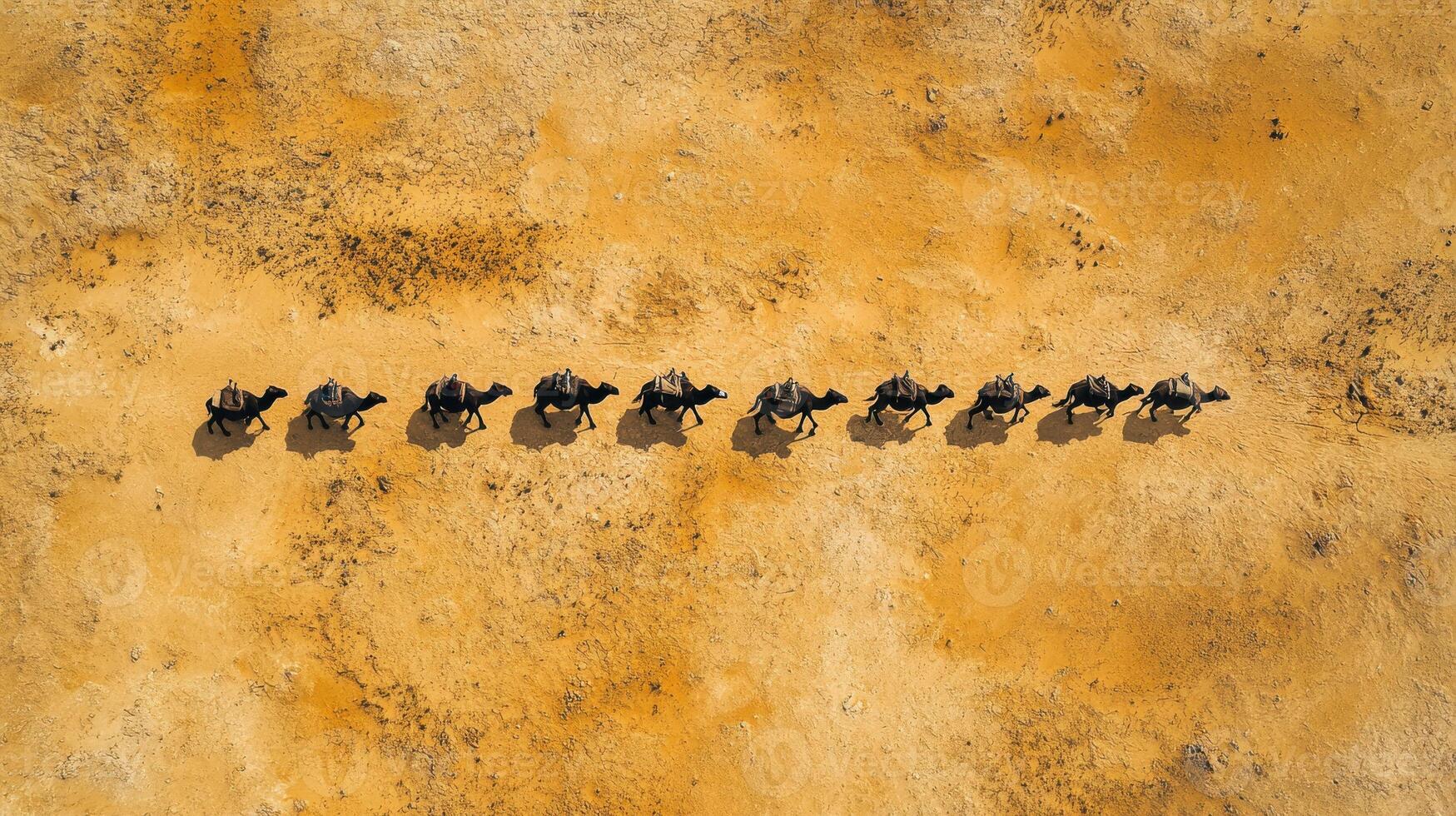 Aerial view of camel caravan crossing expansive desert landscape photo