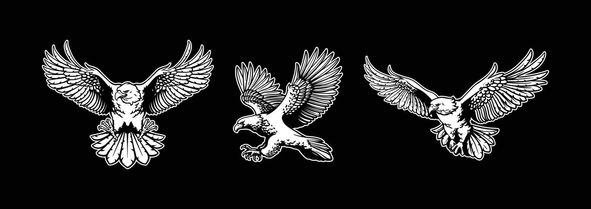 eagle illustration set vector