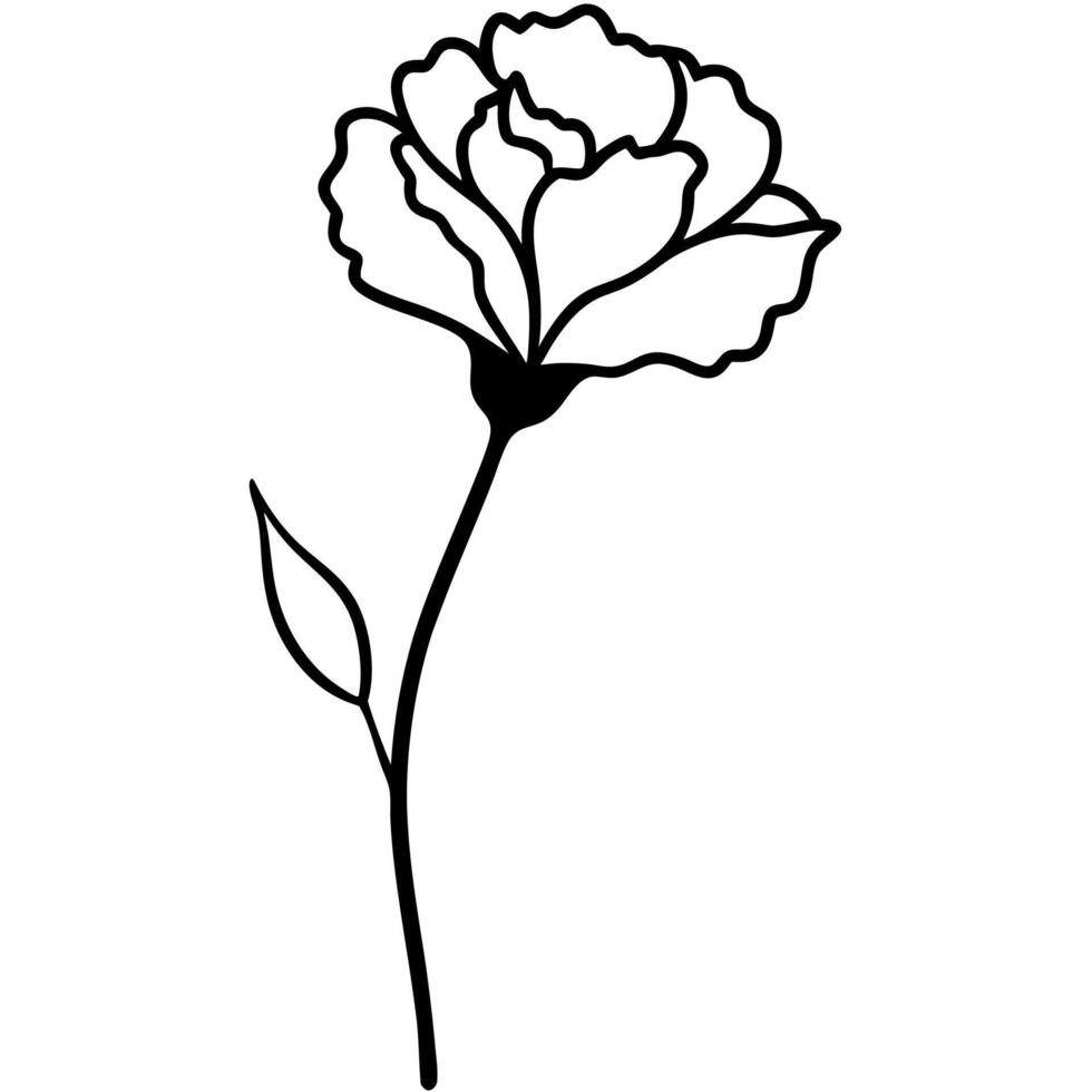 Minimalistic carnation flower silhouette creative design vector