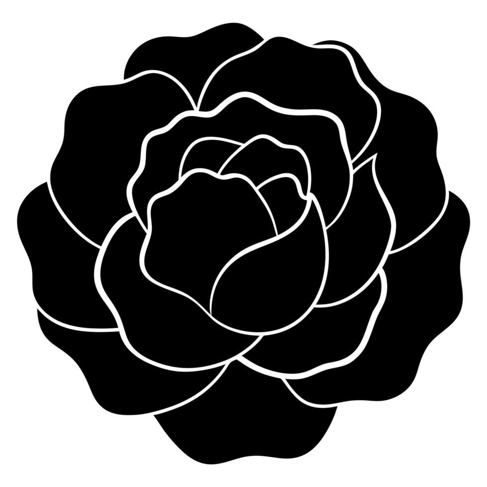 Stunning floral rose silhouette suitable for design and decor vector