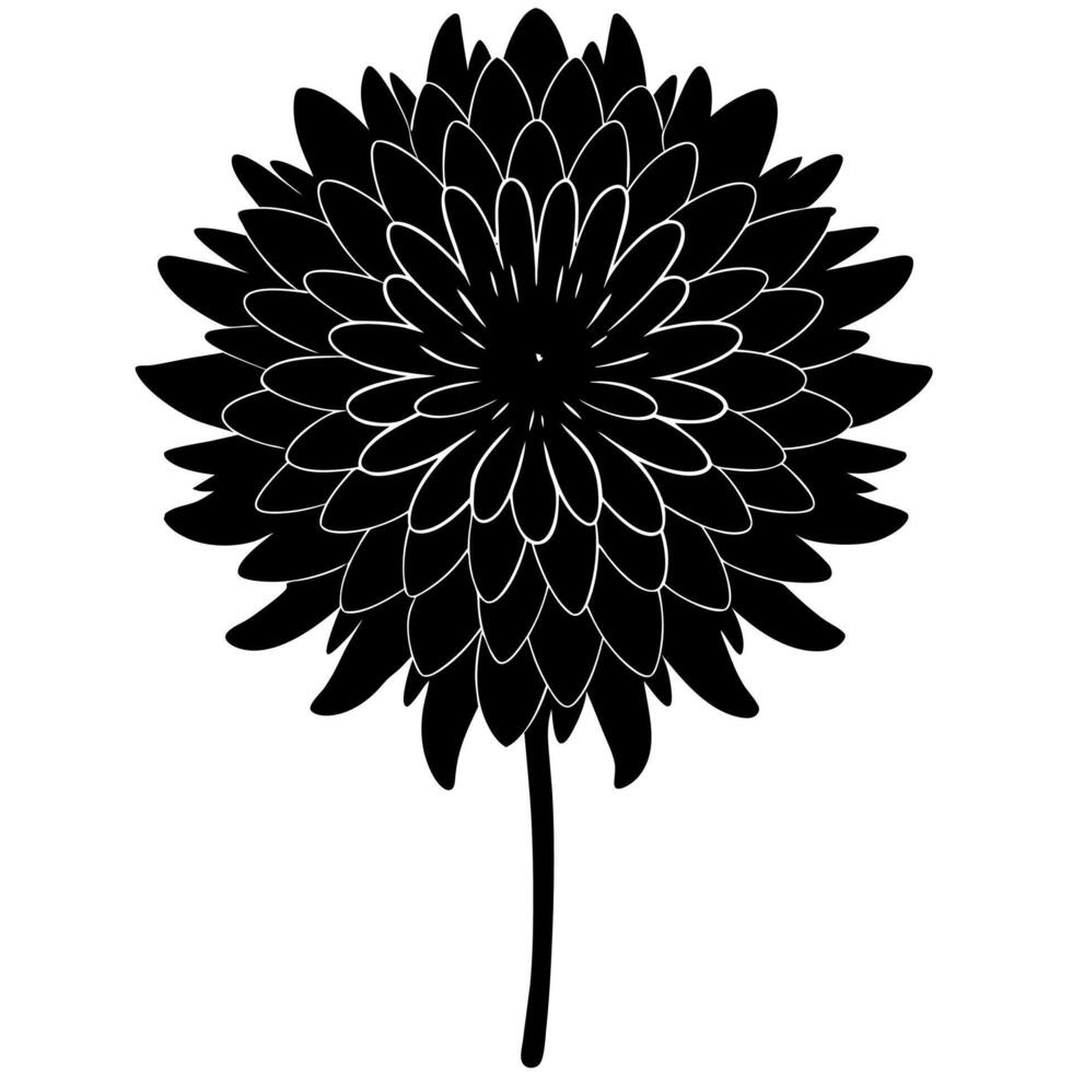 Elegant floral silhouette for your design projects vector