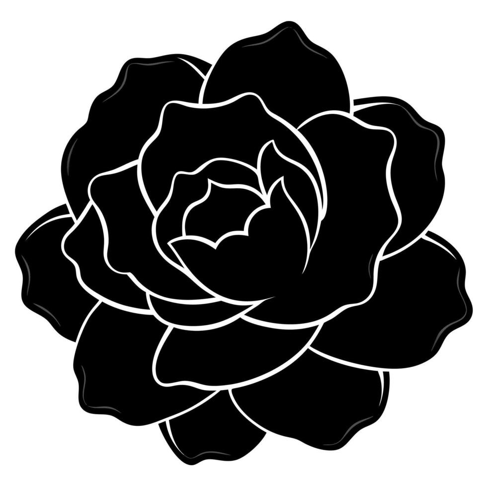 Stunning floral rose silhouette suitable for design work vector