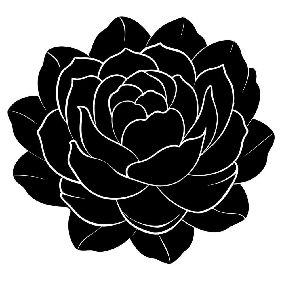 Stunning rose silhouette suitable design and decor work. vector