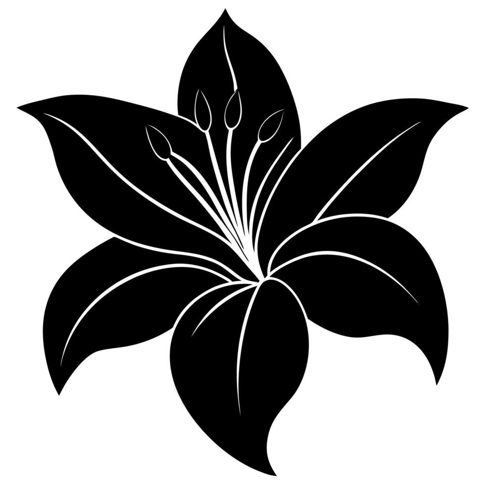 Beautiful lily silhouette for illustrations vector