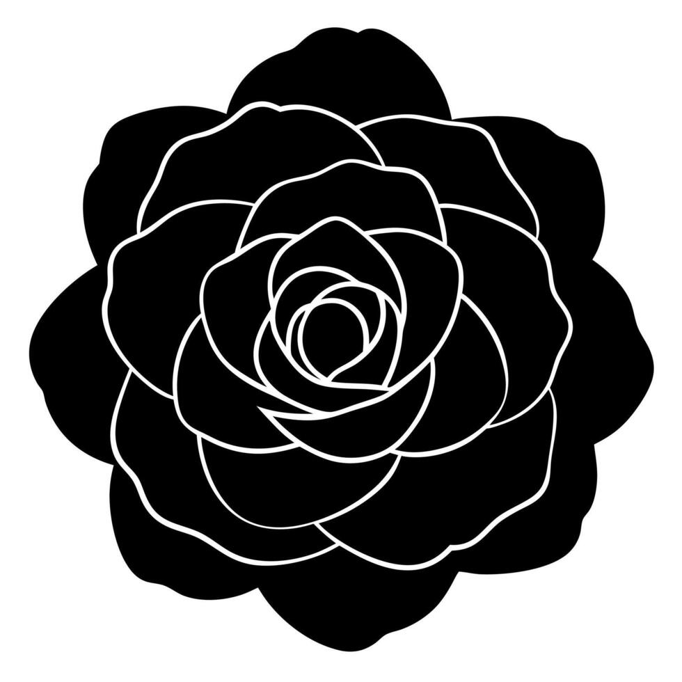 Modern camellia silhouette botanical artworks. vector