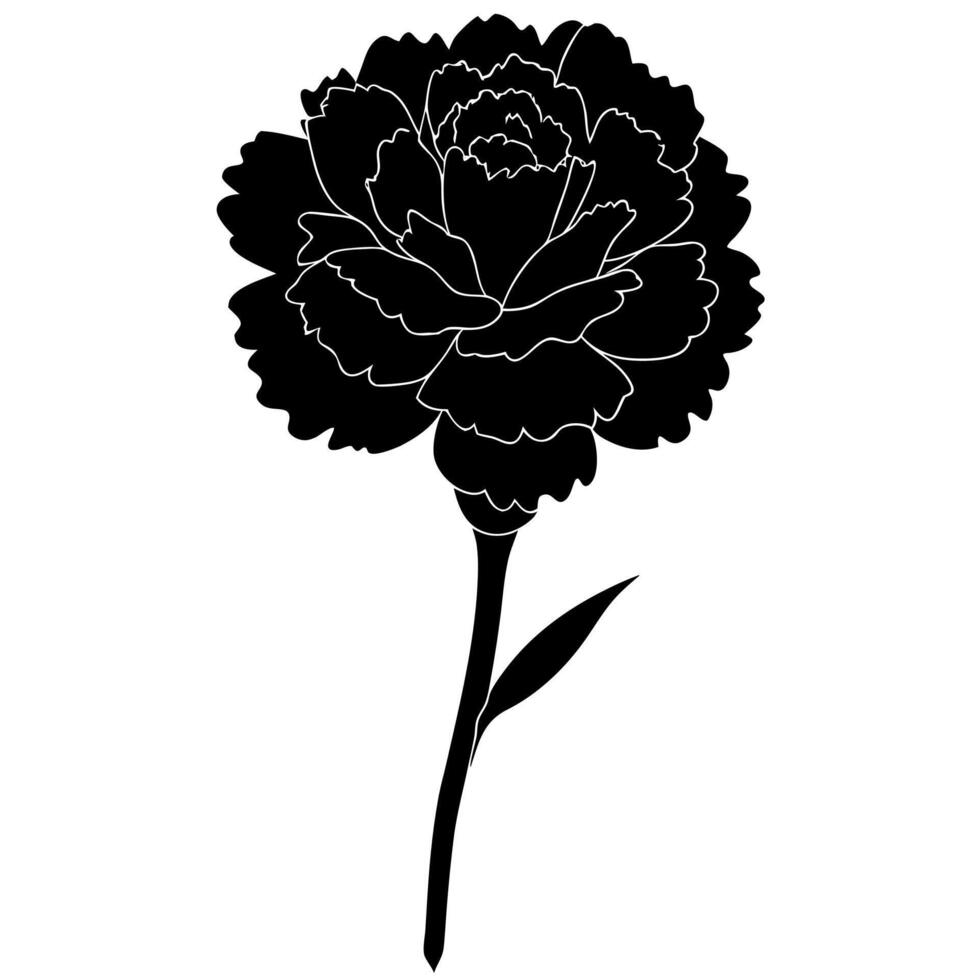 Minimalistic carnation flower silhouette for creative design vector