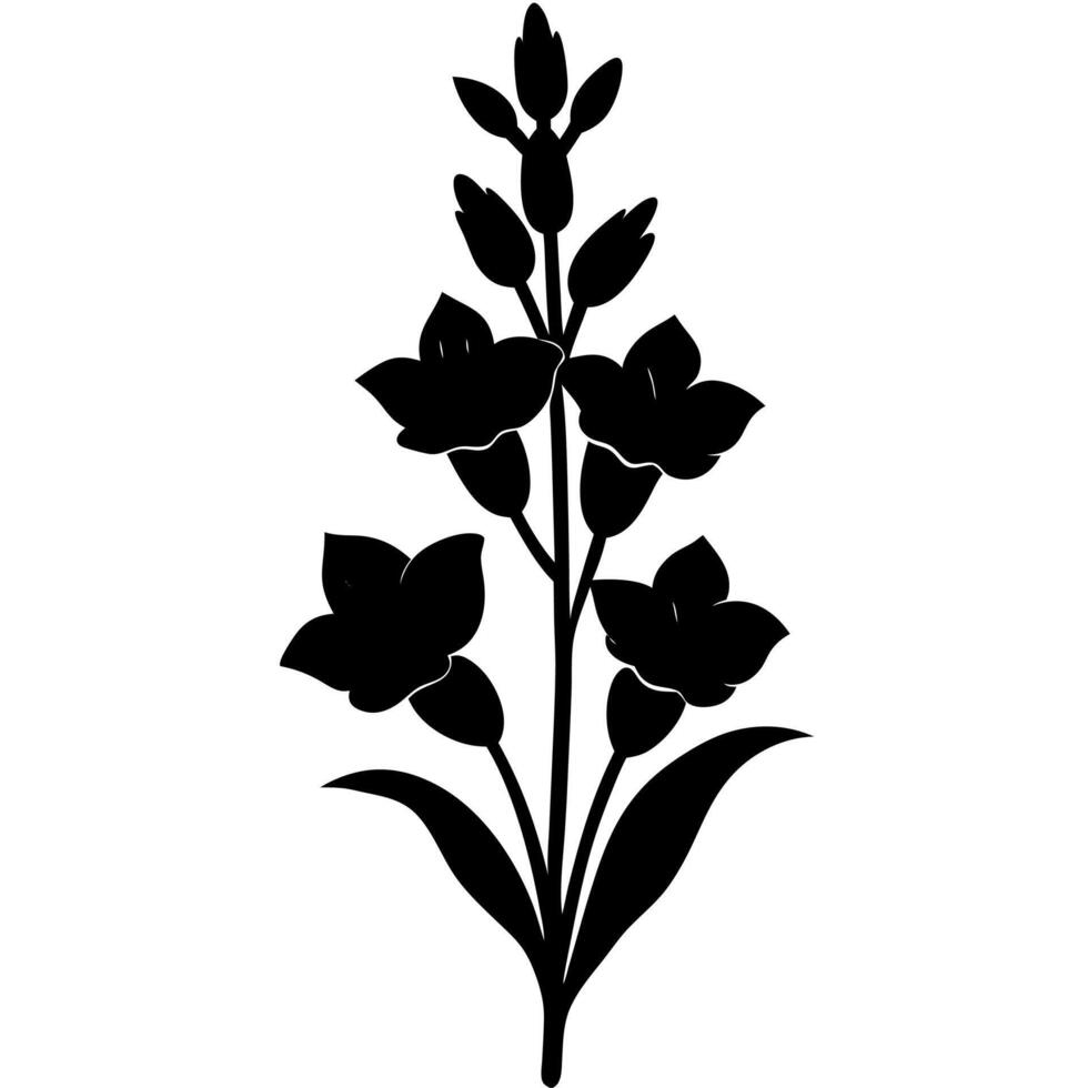 Elegant gladiolus silhouette perfect for floral art vector