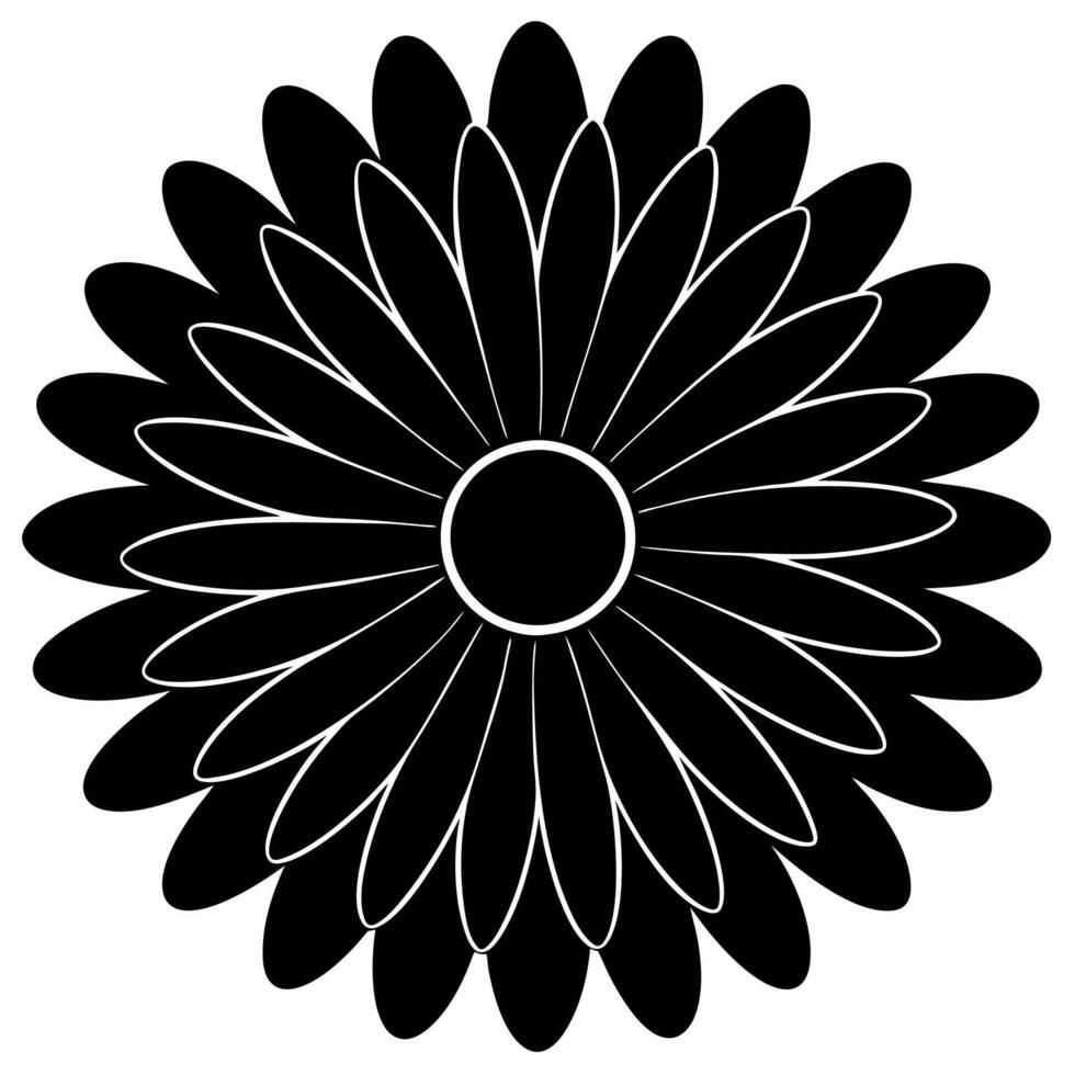 Beautiful gerbera bloom silhouette for botanical illustrations vector