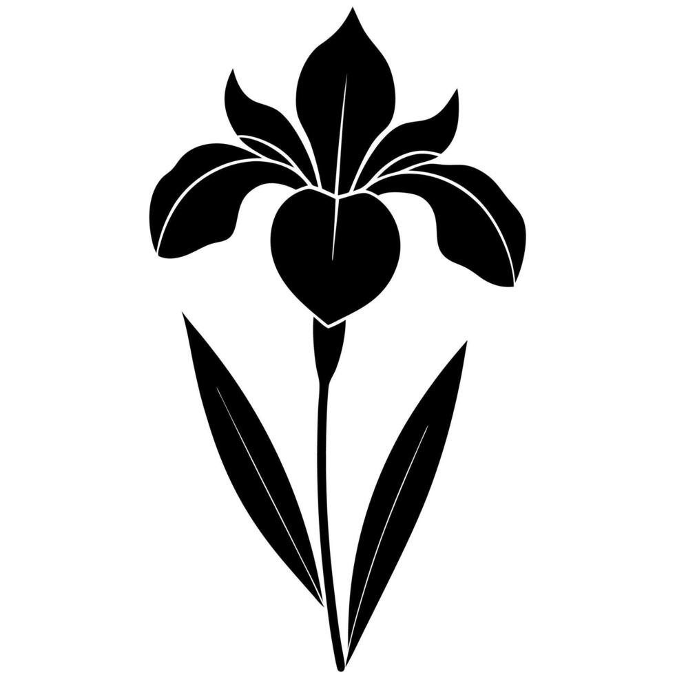 Minimalist iris flower art great for botanical and projects vector