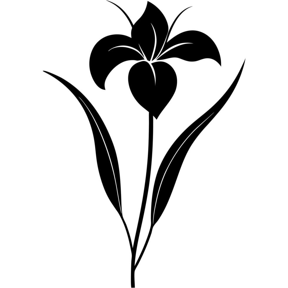 Minimalist iris flower art great for botanical modern project vector
