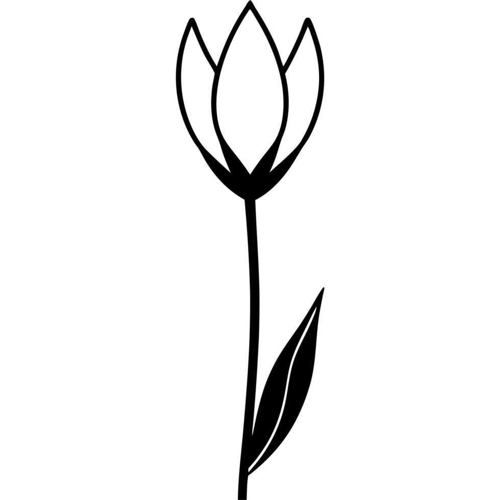 Black and white tulip flower outline for creative designs. vector
