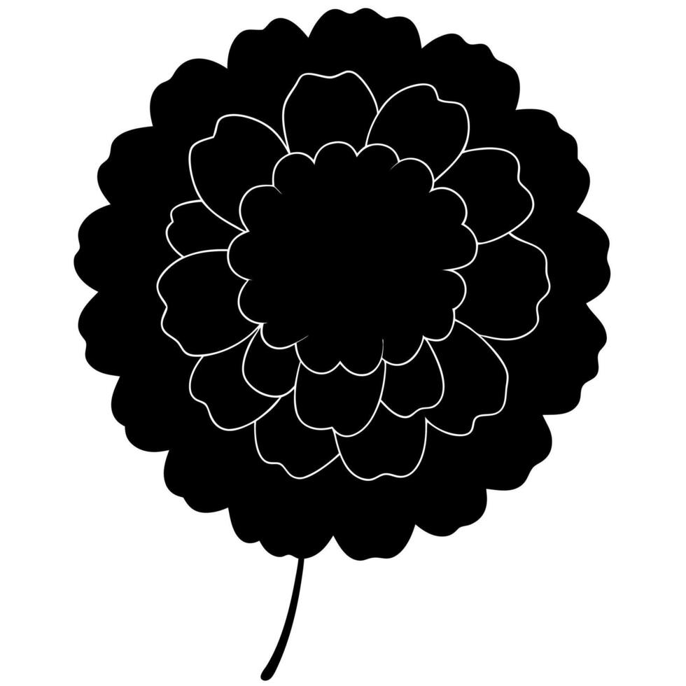 Black floral marigold silhouette for modern artistic designs. vector