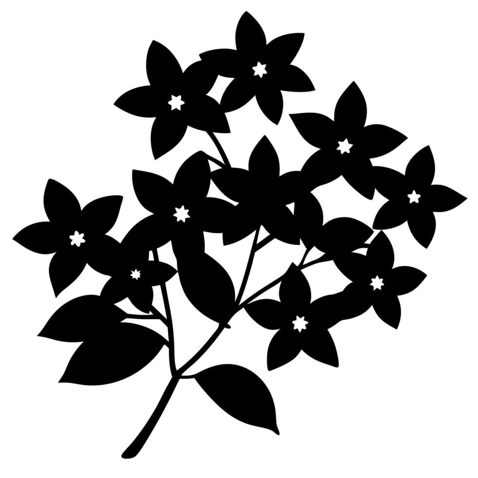 Jasmine flower silhouette cluster in perfect for design vector