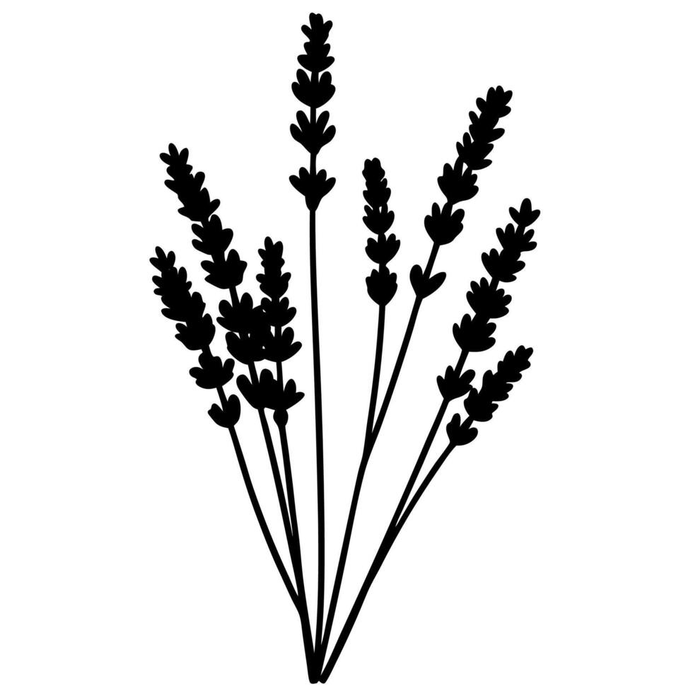 Herbal lavender silhouette suitable for art and designs. vector