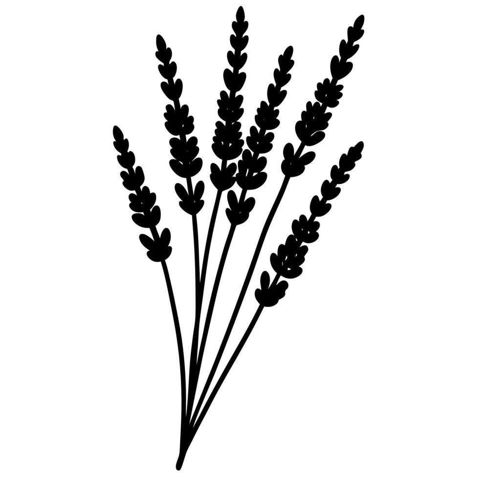 Herbal lavender silhouette suitable for art designs. vector