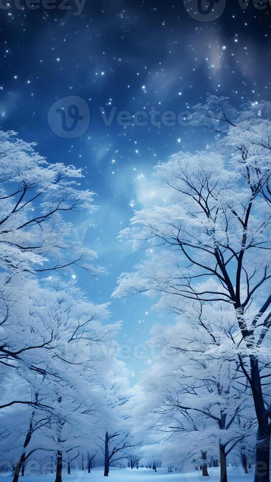 Frozen tree branches in a fascinating beauty photo