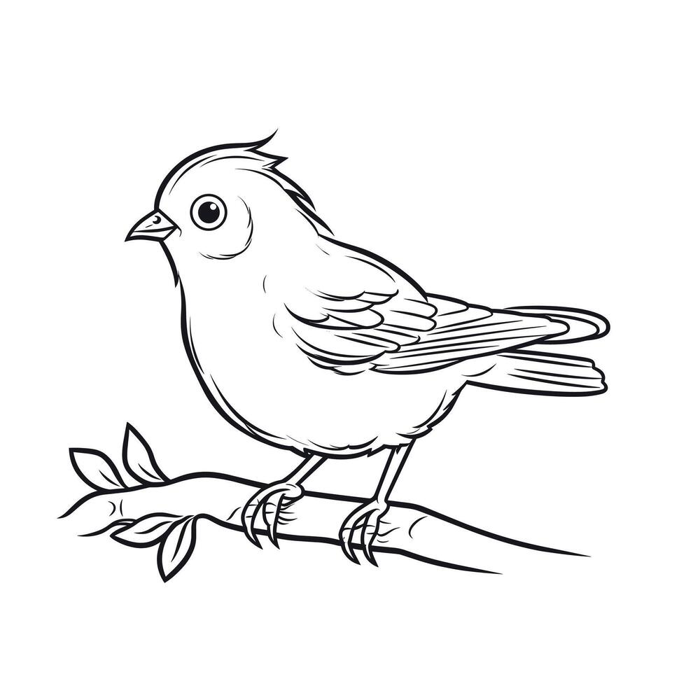 Detailed line drawing of a bird perched on a branch vector
