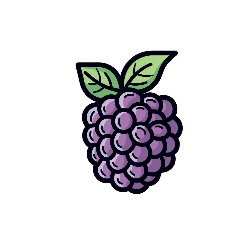 Fresh purple blackberry with leaves vector
