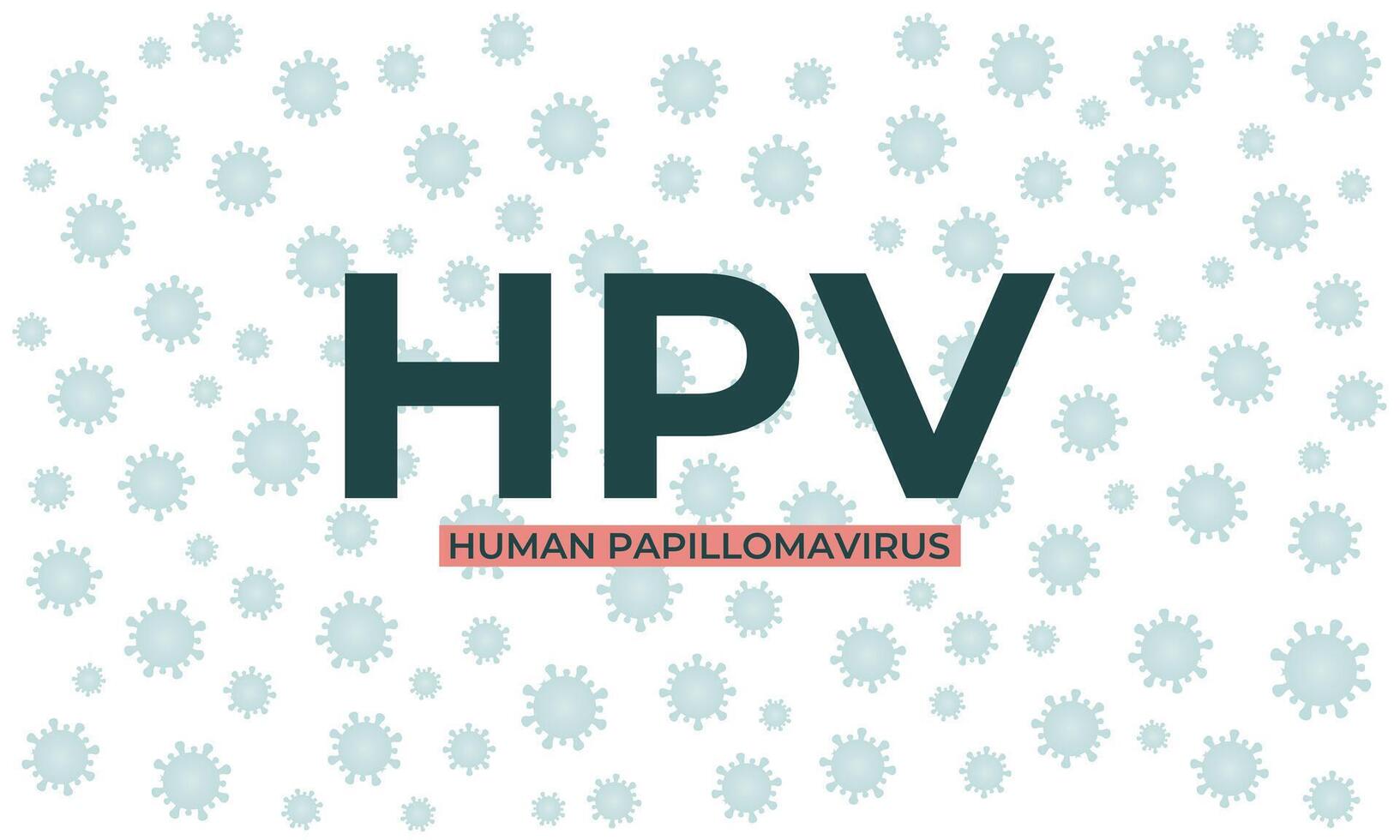 Human papilloma virus vaccine vector