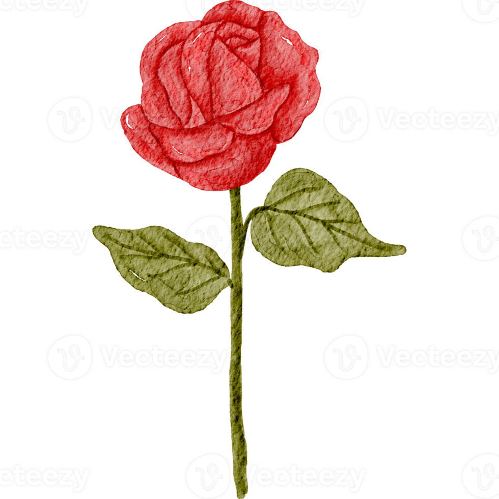Red Rose Charm Element for Valentine's Day png